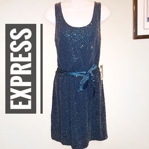 Express sparkly Dress size small
